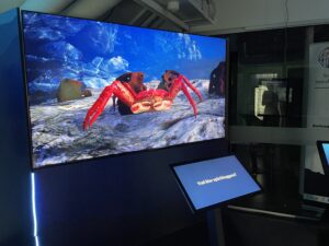 Skärm visar en krabba