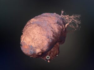 Närbild från utställningen Insikter